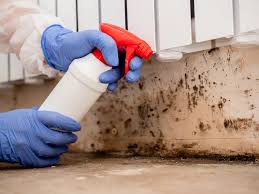 Best Biohazard Mold Removal  in Elida, OH